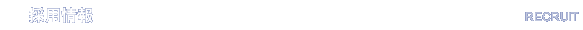 �̗p���